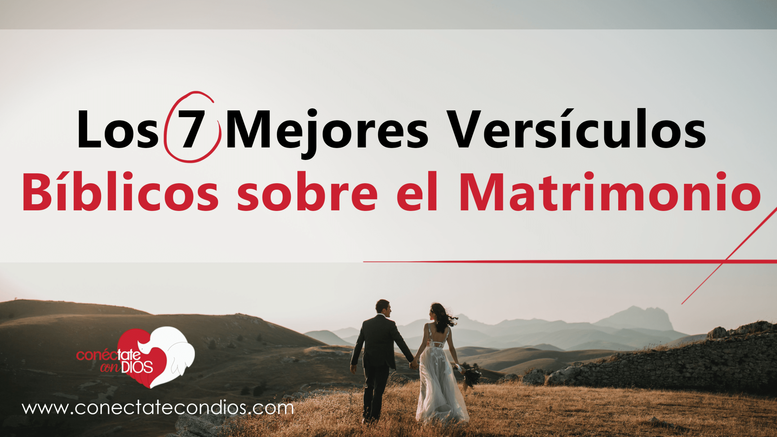 Los 7 Mejores Versículos sobre el Matrimonio | Conéctate Con Dios