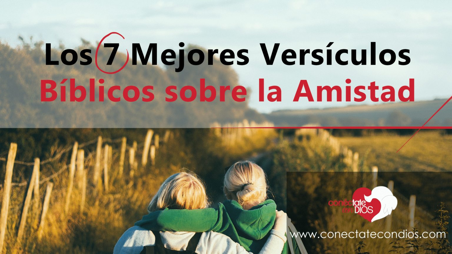 7 Versículos de la Biblia "Todo es Posible con Dios" - Conéctate Con Dios